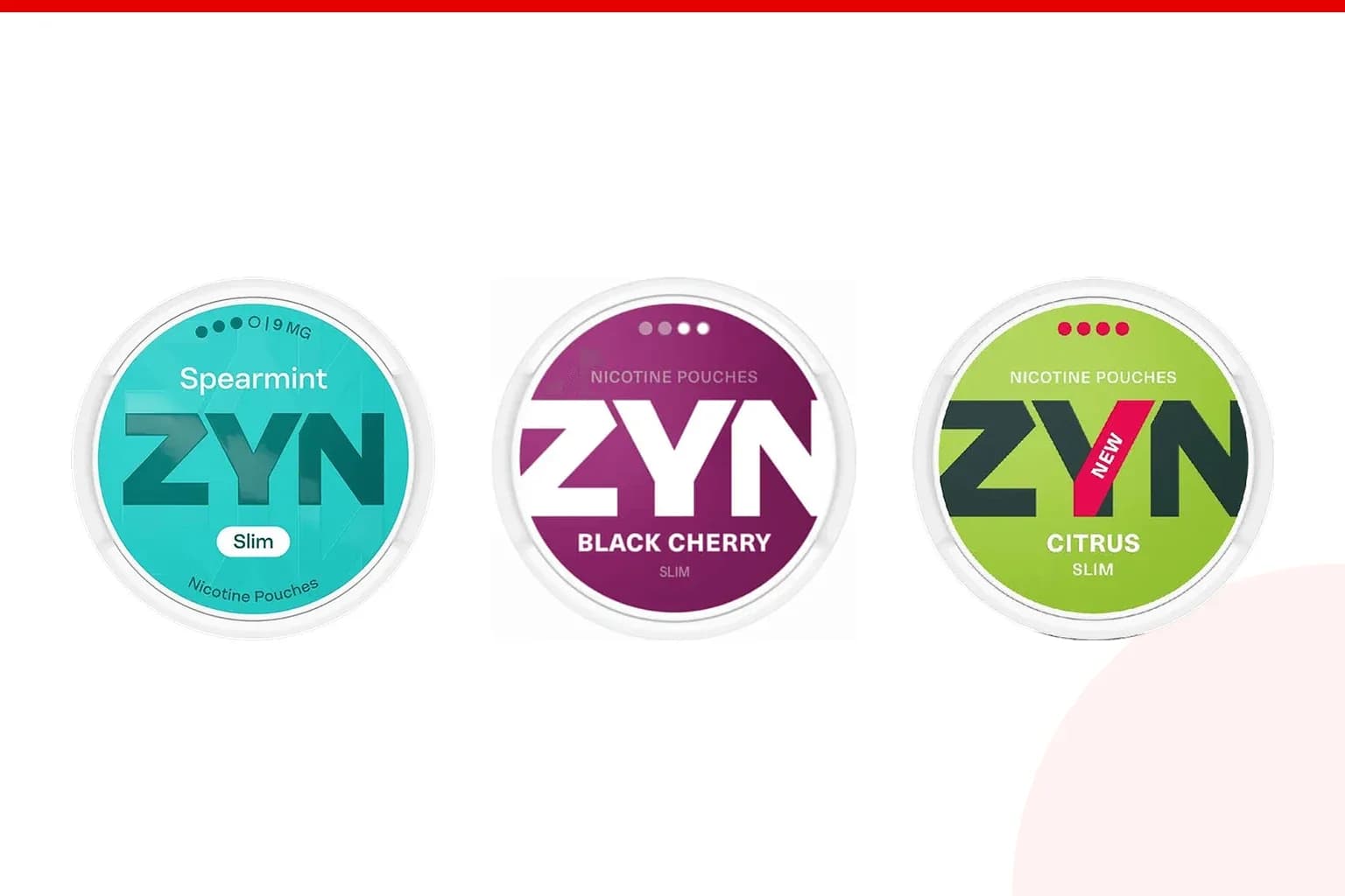 Cans of Best ZYN flavours from the Nicotine Pouches Canada range