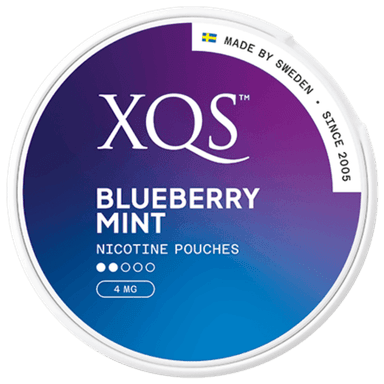 XQS Blueberry Mint Light Slim