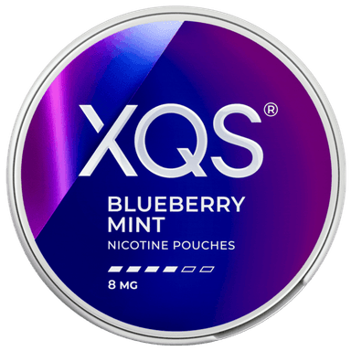 XQS Blueberry Mint (8 mg)
