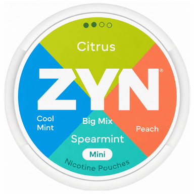ZYN Big Mix (3 mg)