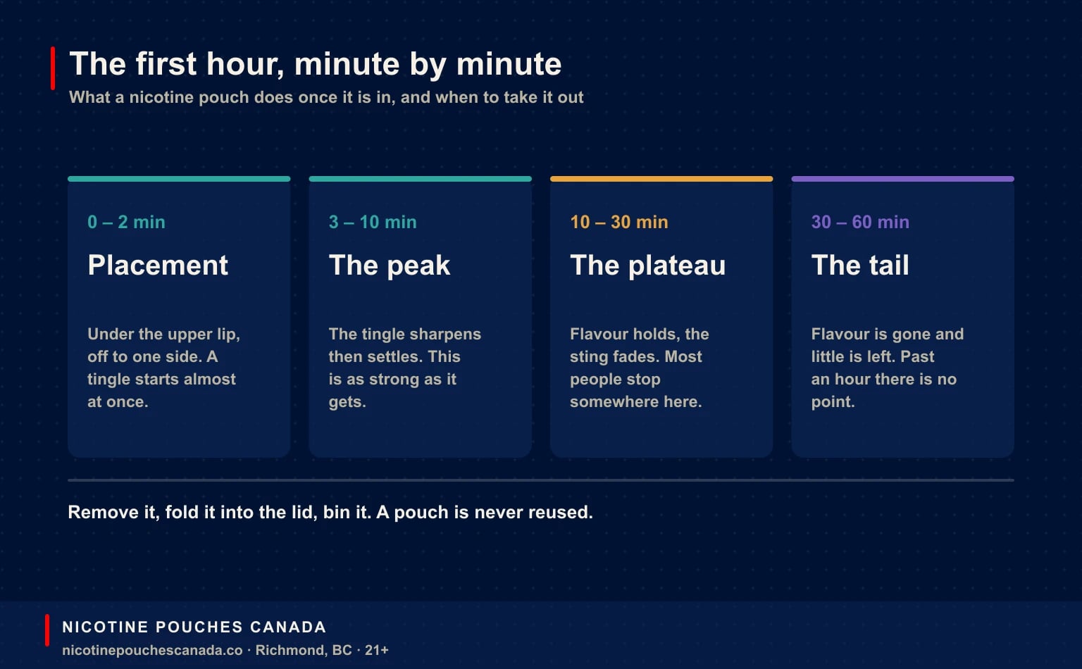 Timeline of a first nicotine pouch: tingle in the first two minutes, peak at three to ten minutes, plateau to thirty, and very little left after that
