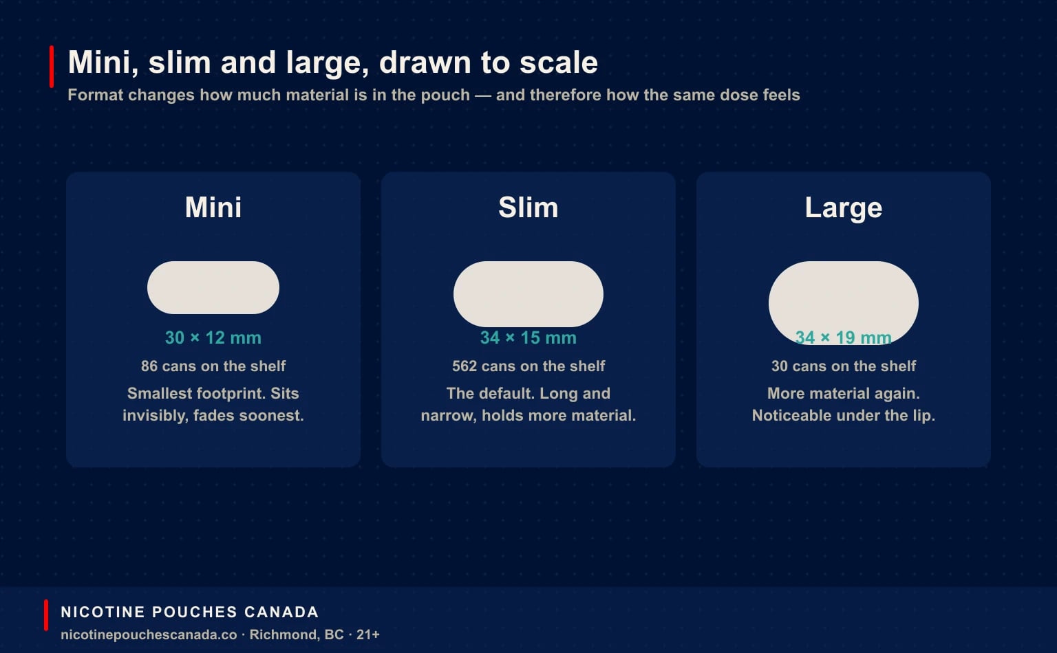 Mini, slim and large nicotine pouches drawn to relative scale with their dimensions and the number of cans of each on the shelf
