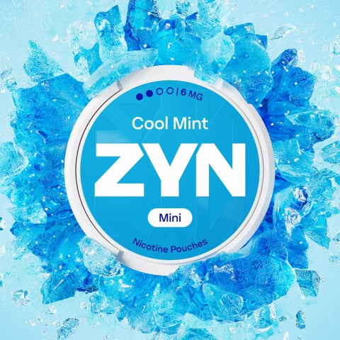ZYN Cool Mint 6mg