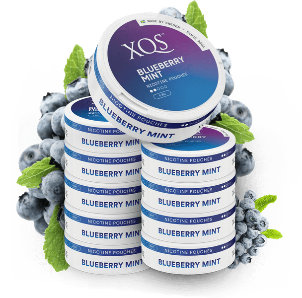 10 Cans XQS Blueberry Mint 4mg
