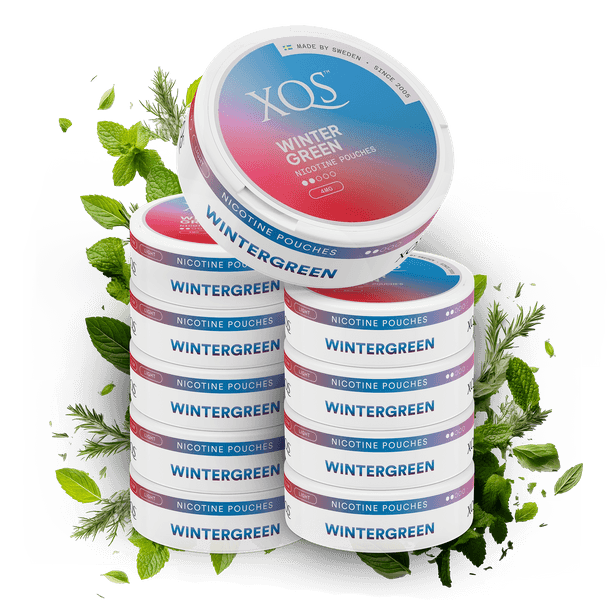 10 Cans XQS Wintergreen 4mg