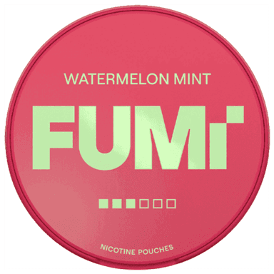 FUMI Watermelon Mint (8 mg)
