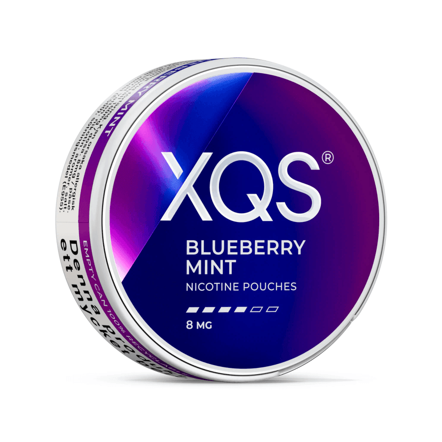 XQS Blueberry Mint (8 mg)