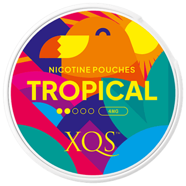 XQS Tropical Light