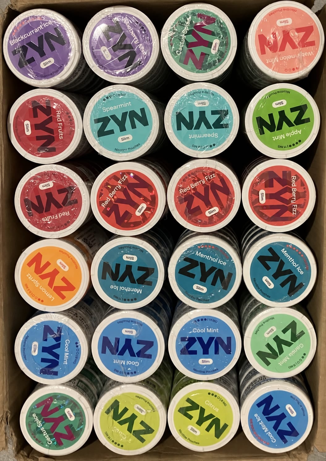 An opened carton of ZYN cans seen from above — Cool Mint, Menthol Ice, Red Berry Fizz, Spearmint, Citrus and Apple Mint tins packed in rows.